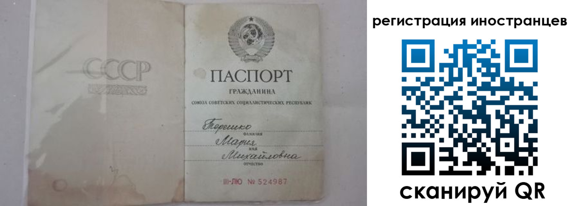 прописка паспорт в Гвардейске